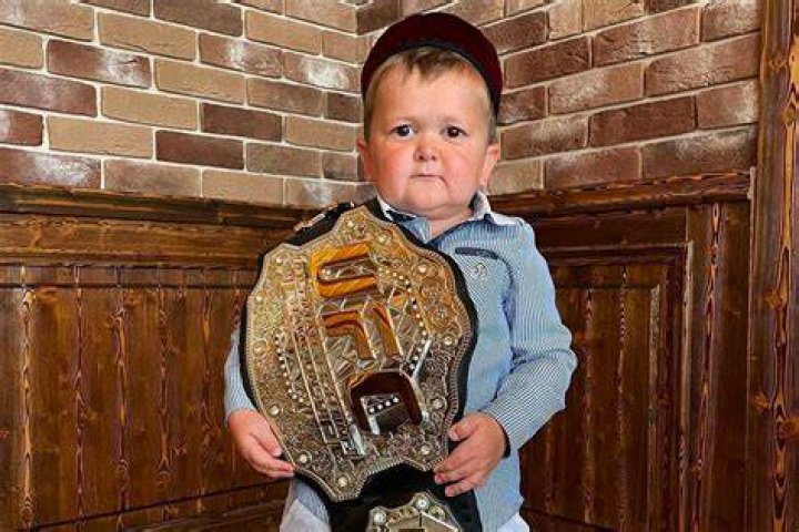 What is Hasbulla Magomedov's net worth?